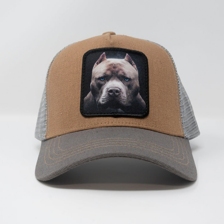 Pitbull Dog Brown/Grey Trucker hat