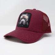 Sombrero Estrella Dorada - Sombrero Trucker Perro Pitbull Marrón/Gris